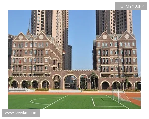 上海飞盘队阵地战分析:优劣势与未来发展方向探讨